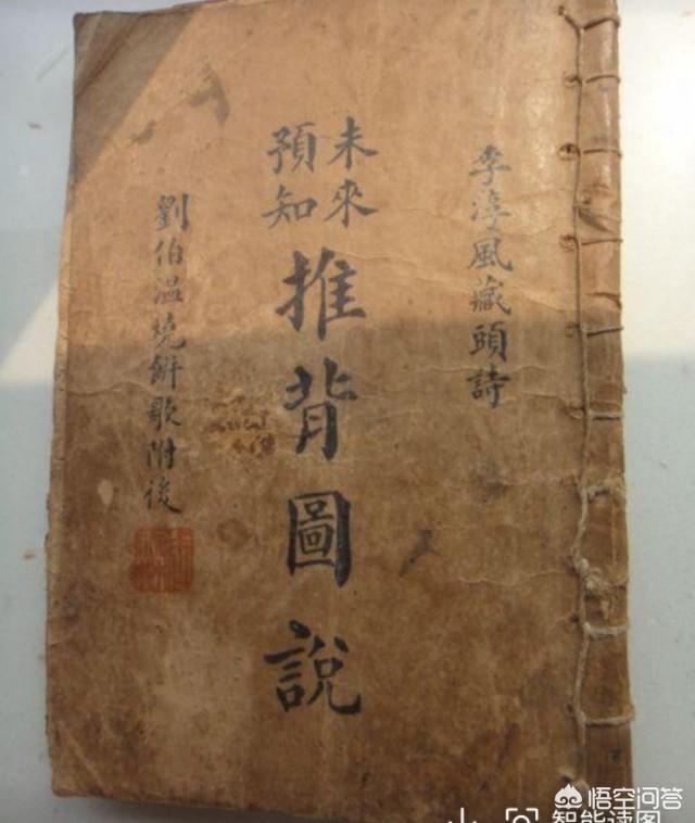 导盲犬珍妮 真假:阿甘正传中珍妮得的是什么病？