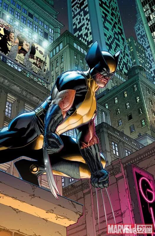 黑豹爪子的主要材质是振金金刚狼爪子的主要材质是艾德曼合金这两种