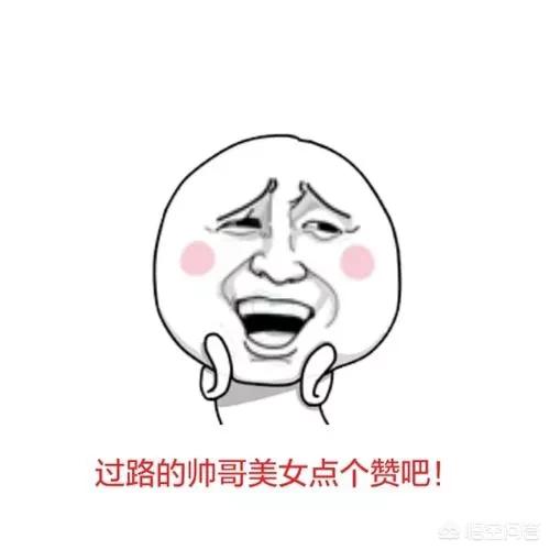 蜜獾和袋獾哪个厉害:袋獾和蜜獾大战的视频 蜜獾与袋獾谁厉害？为何？