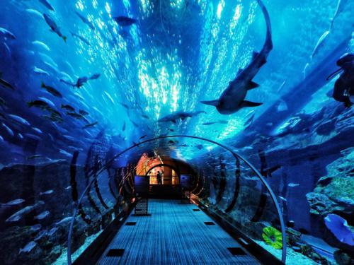 头条问答 - 人在淄博,四五天时间去哪里玩比较好?(8个回答)