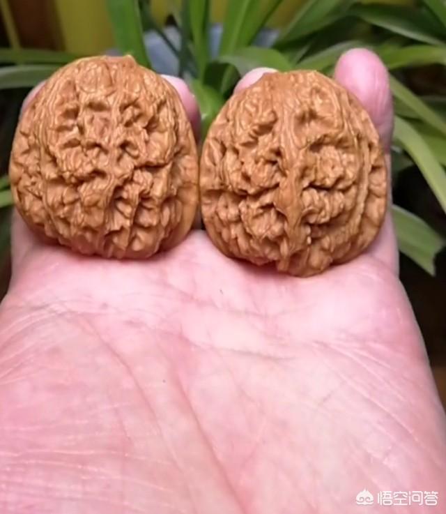 玉器文化的心得体会,各位把玩文玩核桃有什么心得体会？