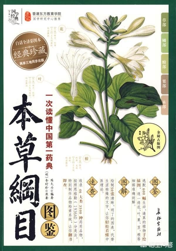 王蓉资料:《本草纲目》于17世纪就被翻译成拉丁文传入欧洲，其意义何在？
