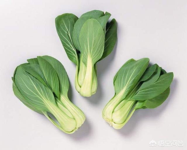 怎么煮面条,煮面条时怎样才能让面条不糊？