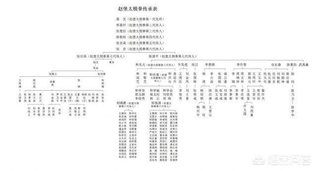 太极雀不飞是什么:怎样才能练好太极拳和推手？