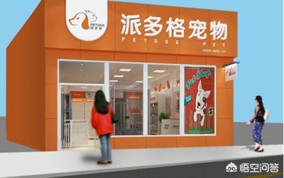 如何开宠物用品店:开宠物用品店生意好做吗？