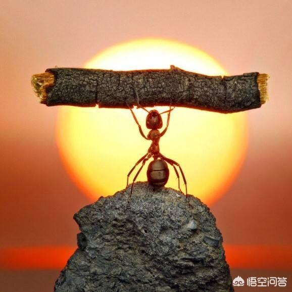 创业的时候缺钱了怎么办？