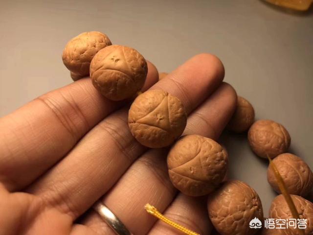 凤眼菩提什么样的最贵？