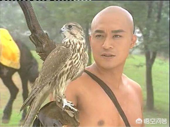 博果尔:多尔滚为什么要支持顺治不支持博果尔？