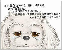 杰克罗素梗犬好养吗:杰克罗素梗，牧师罗素梗，平毛猎狐梗，哪个更适合做伴侣宠物犬？ 杰克罗素梗犬是禁养犬吗