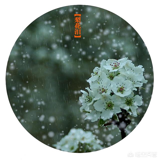 摄影师曹郁:学摄影是先学后期还是先学拍摄方法？