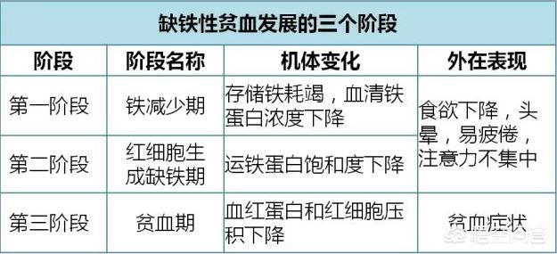 孩子缺铁，会造成缺铁性贫血吗