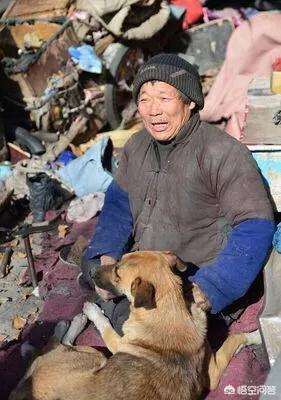忠心大黄狗护主八年:有没有罗威纳犬护主的真实案例？