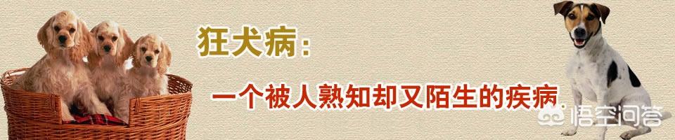 狂犬病的传播途径是什么传播:狂犬病会在人与人之间传染吗？ 狂犬病传播途径人与人传播吗
