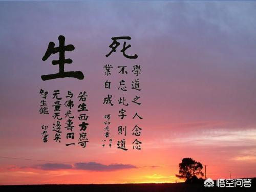 如果你死了,你希望怎么安排自己的身后事？
