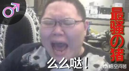 zzc是谁:马飞飞和zzc谁技术更厉害点？