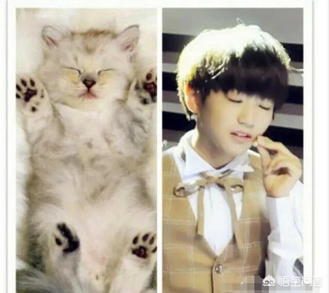 疯猫网络的演员:岳云鹏被女子网络声讨，称其骗婚。你认为有没有幕后主使？