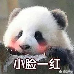 微信免费<a href=https://maguai.com/list/44-0-0.html target=_blank class=infotextkey><a href=https://maguai.com/list/44-0-0.html target=_blank class=infotextkey>动漫</a></a>号:微信有什么公众号可以看漫画的