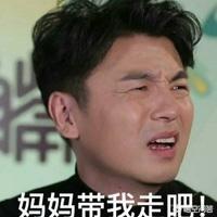 前夫哥:“前夫哥”雷佳音的身价有多少