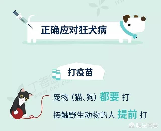 狂犬病能治好吗:如果能治愈狂犬病，会有什么样的奖？