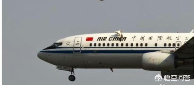 失事的飞机:为什么这几年飞机坠毁事件频发？