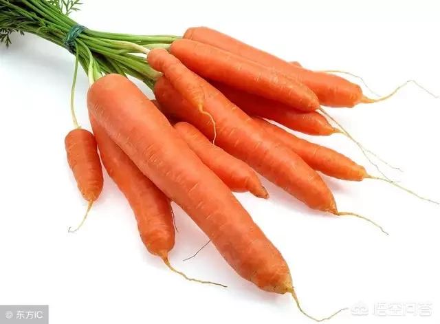 胡萝卜怎么做最好吃，胡萝卜和什么搭配在一起做好吃