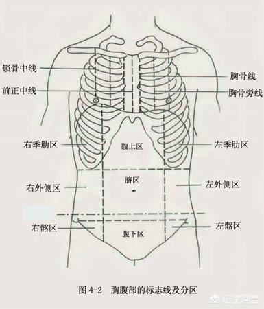 原发性腹膜炎:胃痛和腹痛的区别是什么？