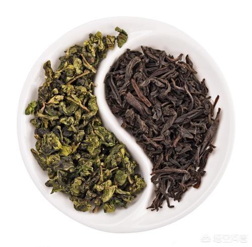 常喝什么茶可以降血压降血脂,喝茶真的能降血脂血压吗？