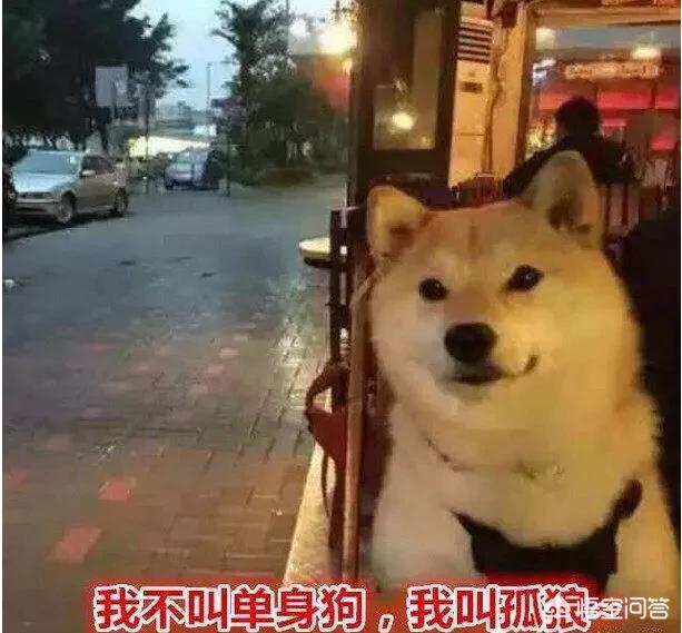 中国到底是男性多还是女性多？