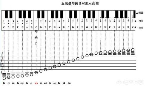 初学者如何学五线谱,新手如何快速学会看钢琴五线谱?