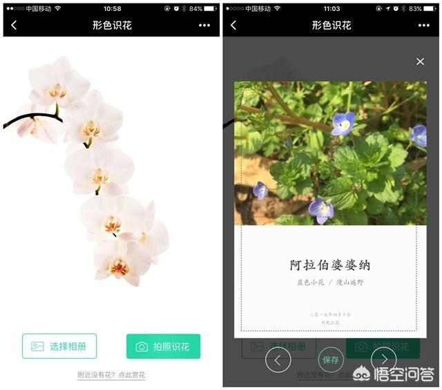 微信小程序景区导航:你们手机里有哪些值得添加的小程序？