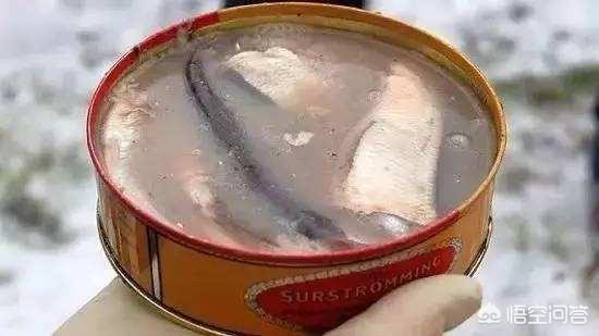 鲱鱼罐头是哪个国家的，“史上最臭美食”的鲱鱼罐头究竟有多臭