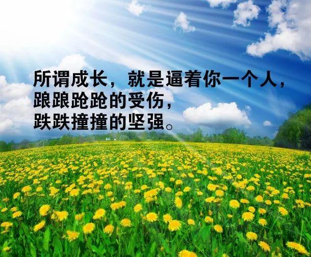 正能量早上好问候语190605：敢闯才有机会！敢拼才有未来！