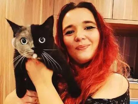 英国短毛波斯猫:短毛波斯猫好养吗 英国短毛猫好养吗？英国短毛猫价格一般是多少钱？