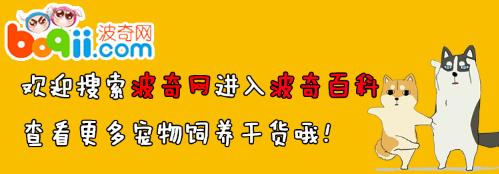 大凌河景区出现大量剧毒金丝蛛，蜘蛛的血为什么也是蓝色的它和珍贵的鲎血有关系吗