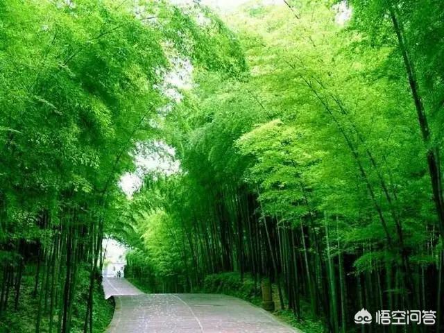 做销售的你一般跟客户聊什么话题，可以迅速拉近关系呢