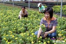 妇女的定义标准年纪:在农村，为什么很多中年农民女性不愿人称“妇女”？