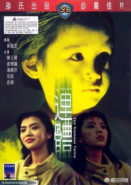 香港公认的十大恐怖片，有什么好看的惊悚重口的电影或电视剧吗