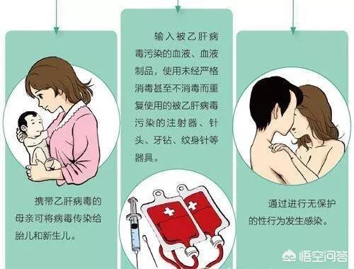 刘德华自爆是乙肝病毒携带者,乙肝病毒会通过什么途径传染？