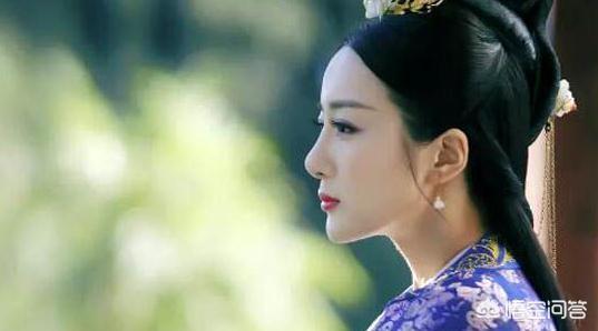 独孤曼陀:《独孤天下》独孤曼陀生了几个孩子？