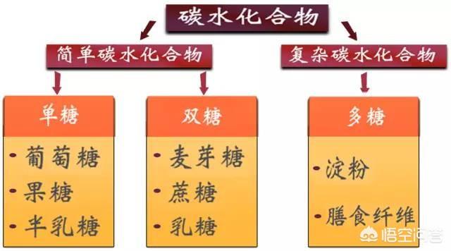 人体必需的营养元素:人体所需的营养物质有哪些 ,各有什么作用？