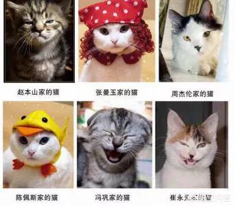 疯猫网络的演员:岳云鹏被女子网络声讨，称其骗婚。你认为有没有幕后主使？
