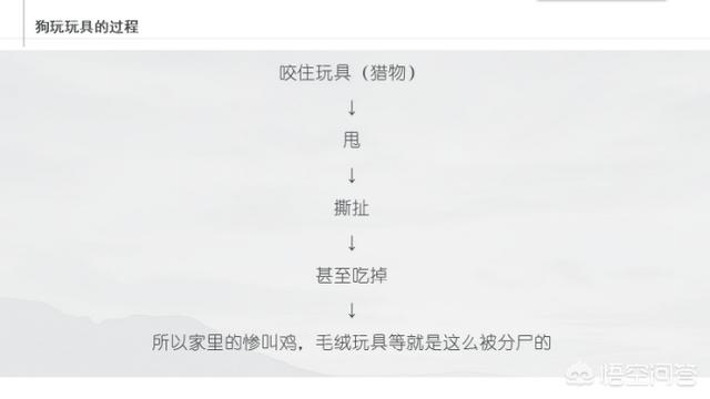 狗狗打架时为何是上嘴咬不是上手挠:为什么狗狗咬住东西就不撒嘴了？