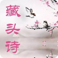 有哪些好的藏头诗？