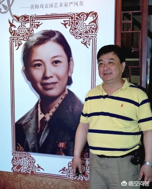黄梅戏严凤英:黄梅戏大师严凤英的子女唱黄梅戏吗？