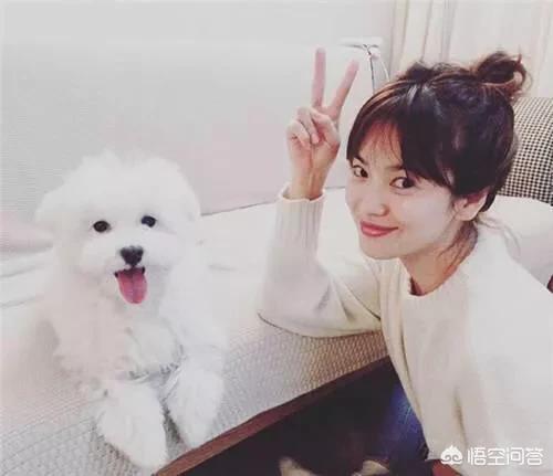 当猫爱上狗在哪里看:喜欢猫狗的女生有什么共性？ 当狗爱上猫在线观看