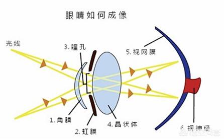 黑眼睛看世界的经典片段:闭上眼睛所看到的为什么是黑色的？