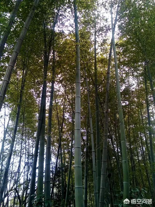 不可救药:五十岁的我不可救药地爱上了一个24岁的女人，我该怎么办？