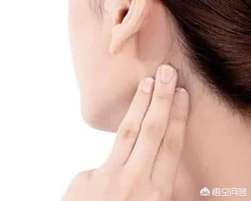 瘦咬肌(瘦咬肌)