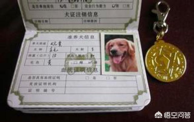 唐山养犬办:个人申请养犬登记要提交的资料有哪些？