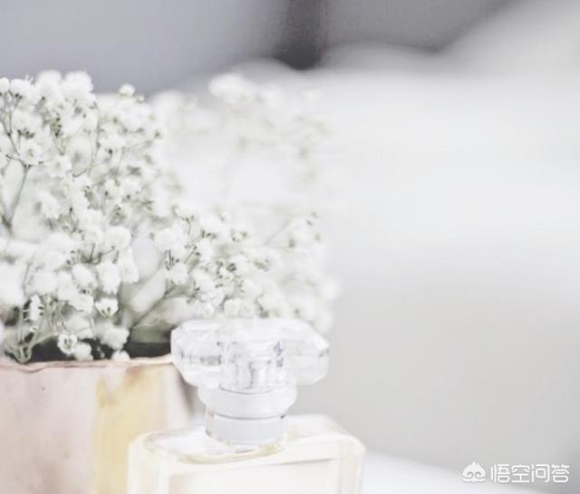 头条问答 如何拍摄白背景的花卉照片 34个回答
